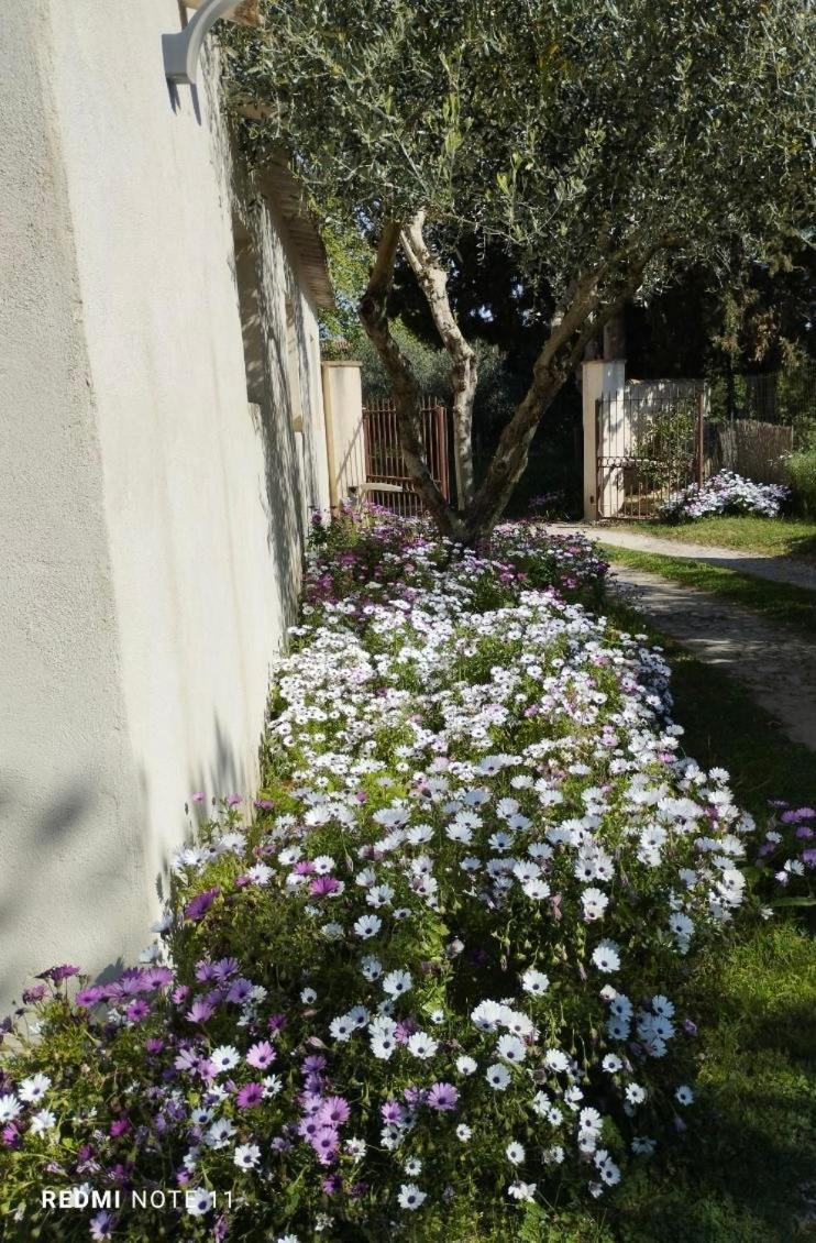 Maison De Campagne En Provence Barbentane Eksteriør billede